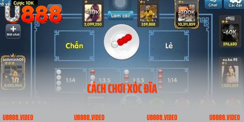 Cách Chơi Xóc Đĩa Luôn Thắng Khiến Nhà Cái Khóc Thét