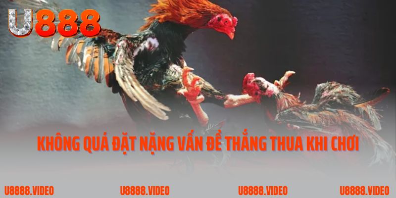 Không quá đặt nặng vấn đề thắng thua khi tham gia cá cược U888