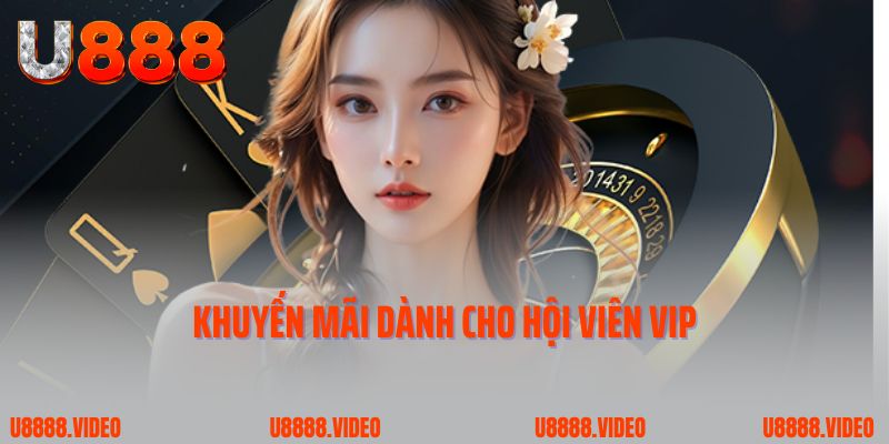 Khuyến mãi dành cho hội viên VIP