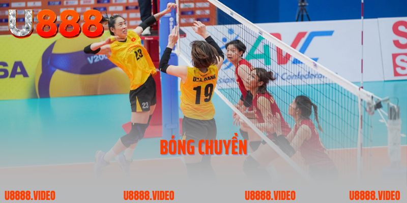 Bóng chuyền là bộ môn được yêu thích khi cá cược